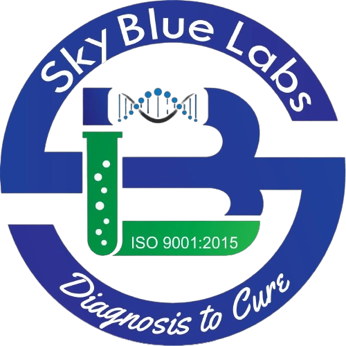 Untitled-removebg-preview (4)